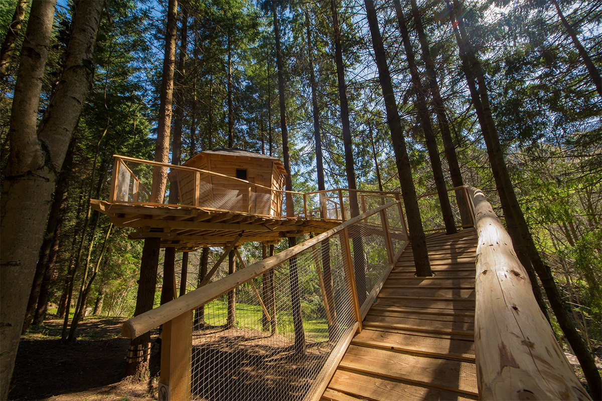 cabane-cerf-acces-passerelle-1