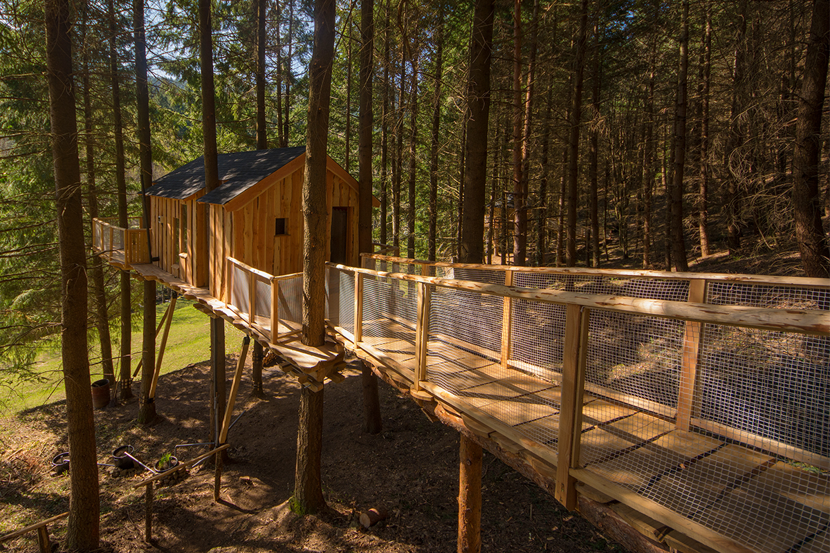 cabane-hibou-passerelle-acces-1